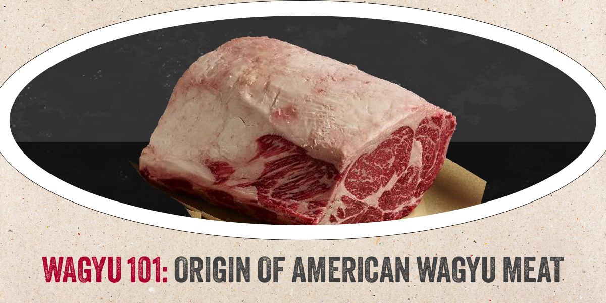 Wagyu 101: Origin of American Wagyu Meat